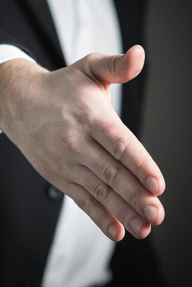 雪松树招商加盟